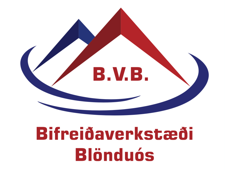 BVB-logo